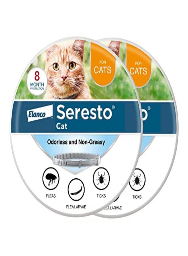 Seresto Cat Vet-Recommended Flea & Tick Treatment & Prevention Collar for Cats, 8 Months Protection | (Pack of 2) - Image 1
